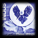 INDUS independent music indy acoustic rock contemporary folk  music  folk rock